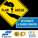 Plan Ahead: Designate a Sober Driver