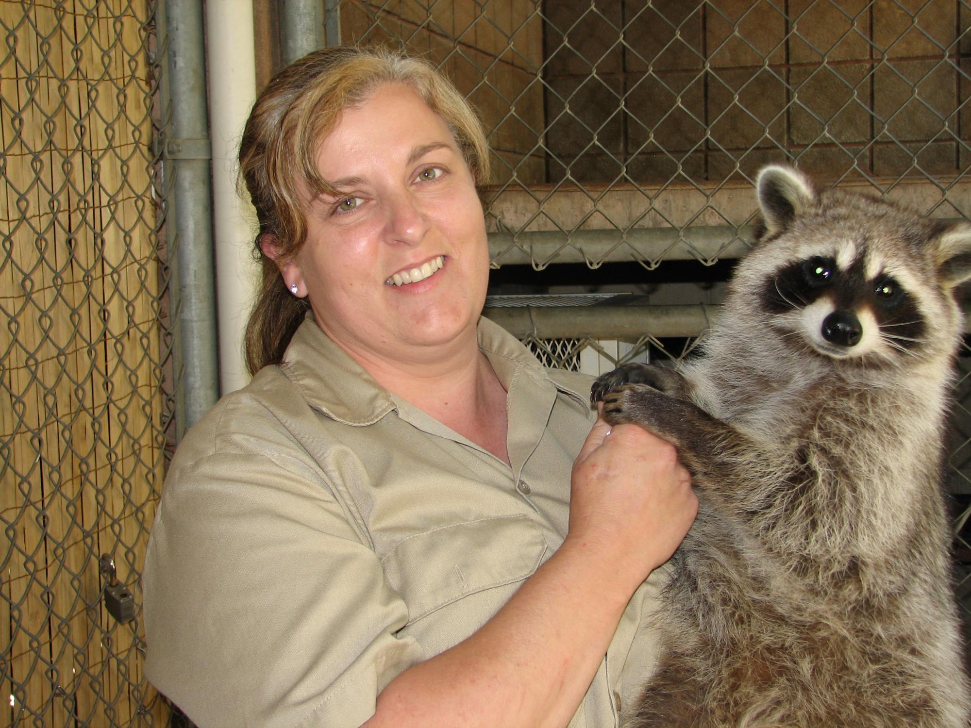 Zookeeper with Racoon