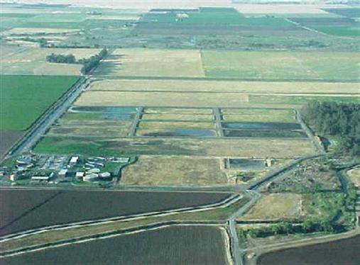 Aerial shot of fields