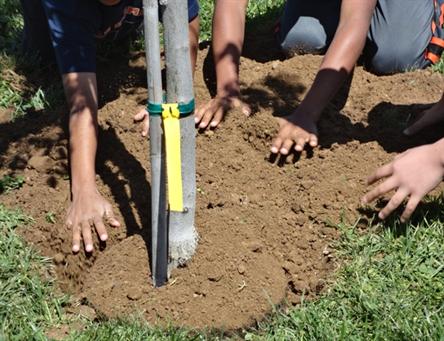 People planting a tree