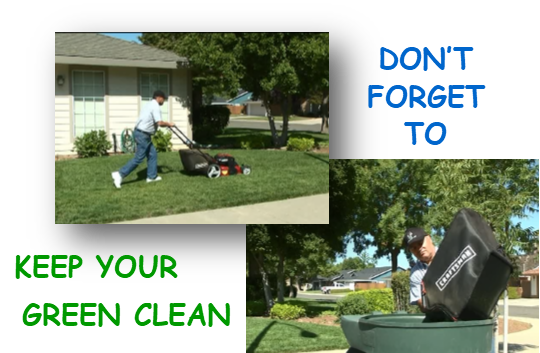 Keep you green clean