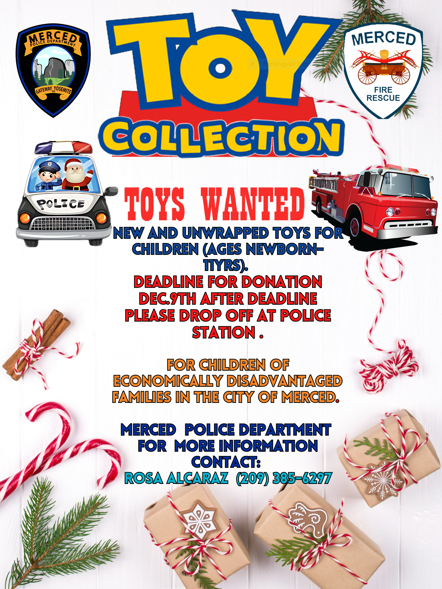 ToyDrive2024